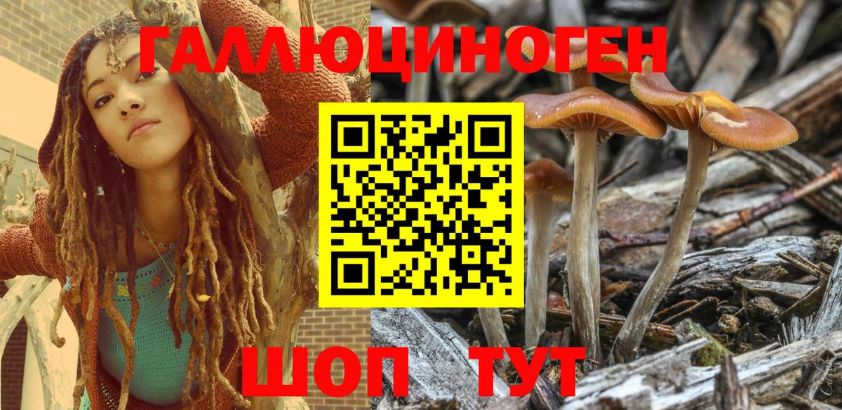 Псилоцибиновые грибы Psilocybe  Вход с VPN  Нурлат 